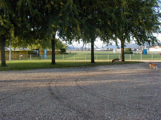 leclub-2.jpg