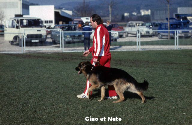 avant1999-gino.jpg