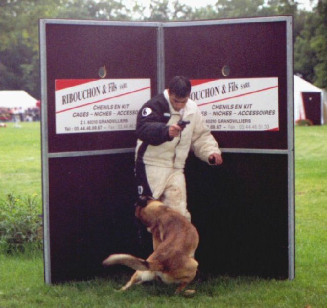 2000-finale.jpg