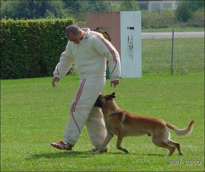 2001-006.gif