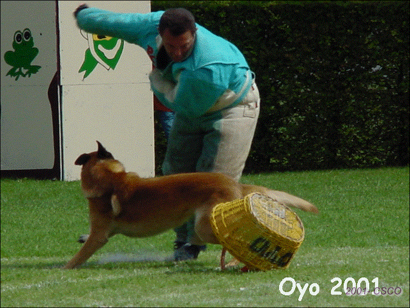 2001-007.gif