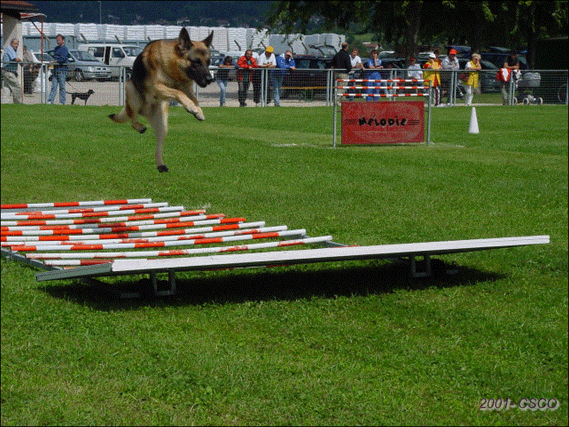 2001-008.gif
