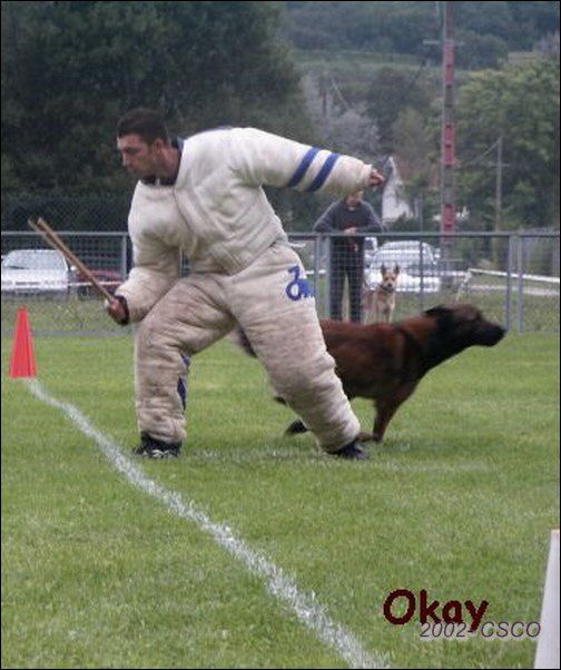 2002-ring-oyo-9.jpg
