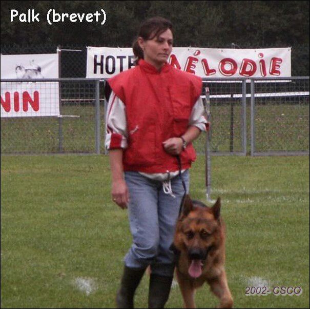 2002-ring-oyo-palk.jpg
