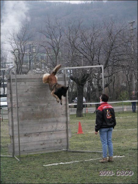 2003-ring-grenoble-rosko-pal.jpg