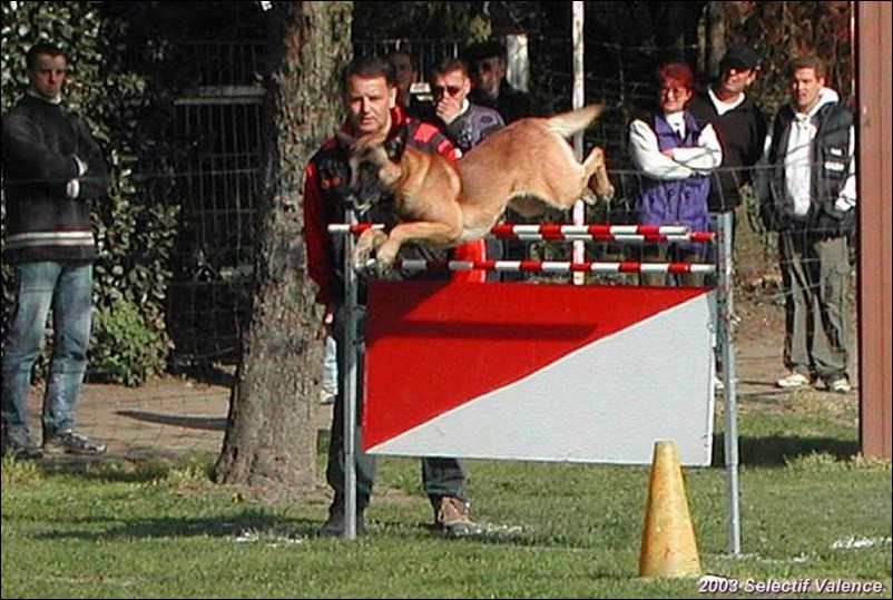 2003-selectif-valence-mid-2.jpg
