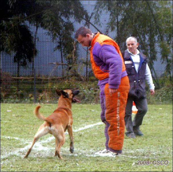 2008-champ-nelby-rech.jpg