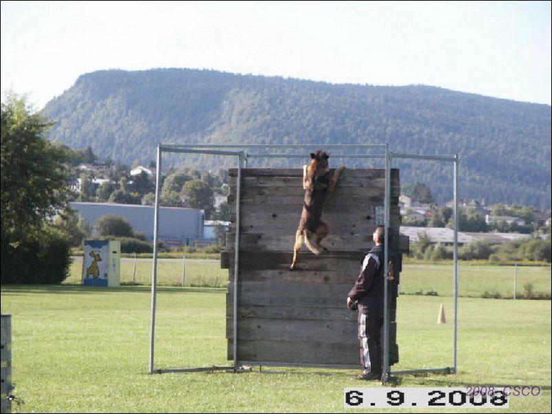 2008--aquila-palissade03.jpg