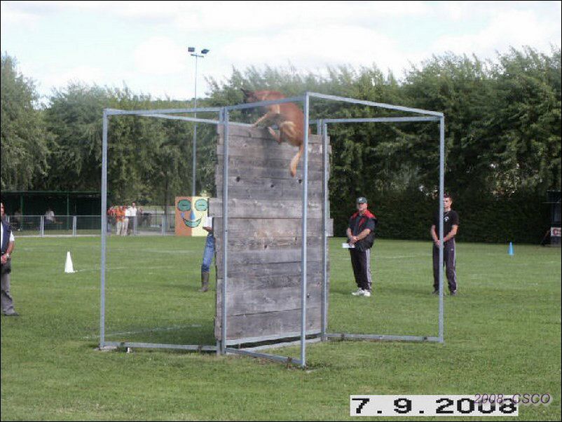 2008-Oyo-u2-palissade.jpg