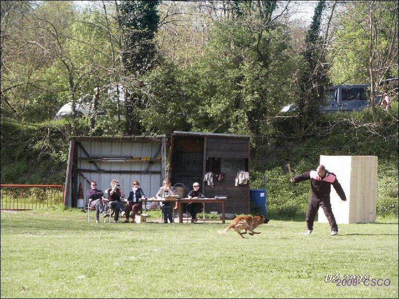 2008-stlaurentdemure-91.jpg