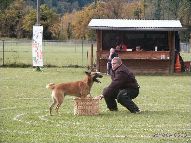 2009-chassal-U2-valise4.jpg