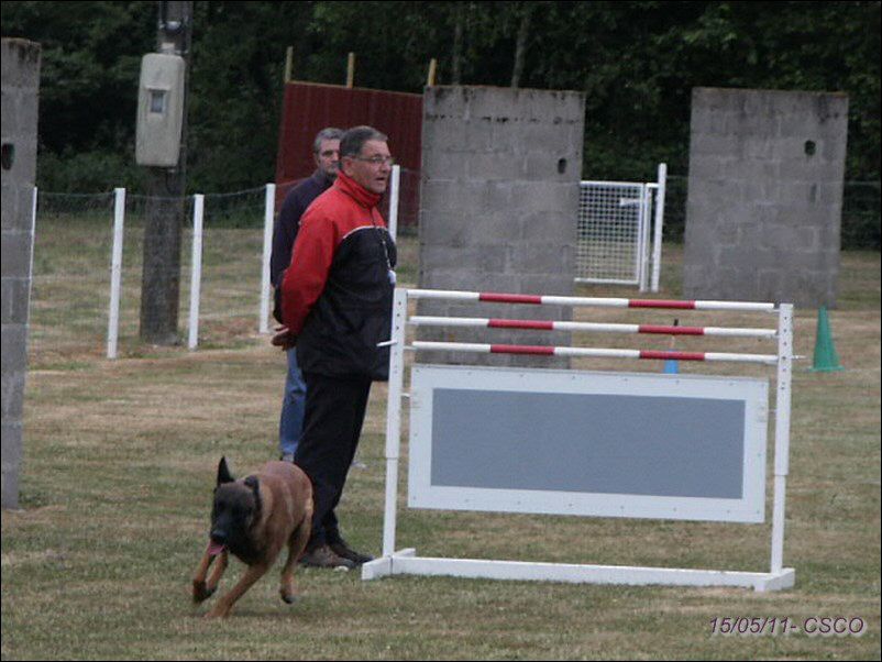 2011-gueugnon-haie1.jpg