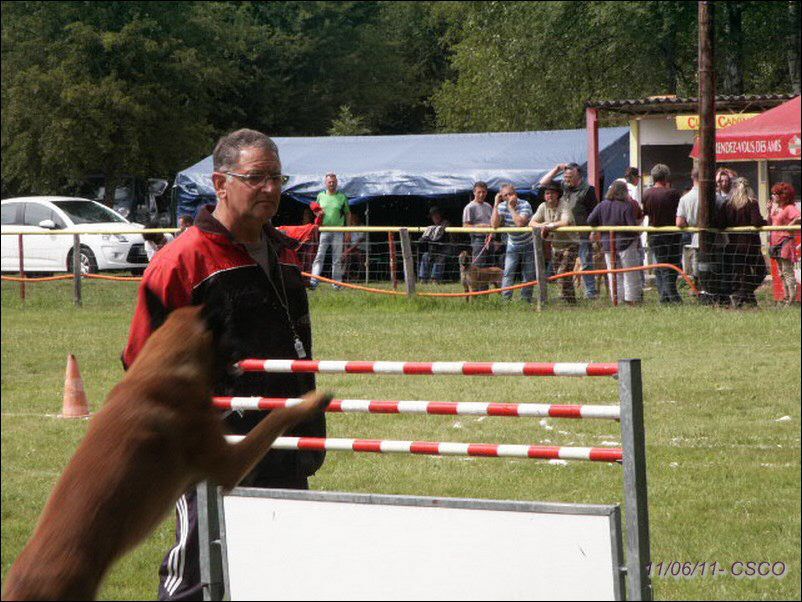 2011-lons-haie.jpg
