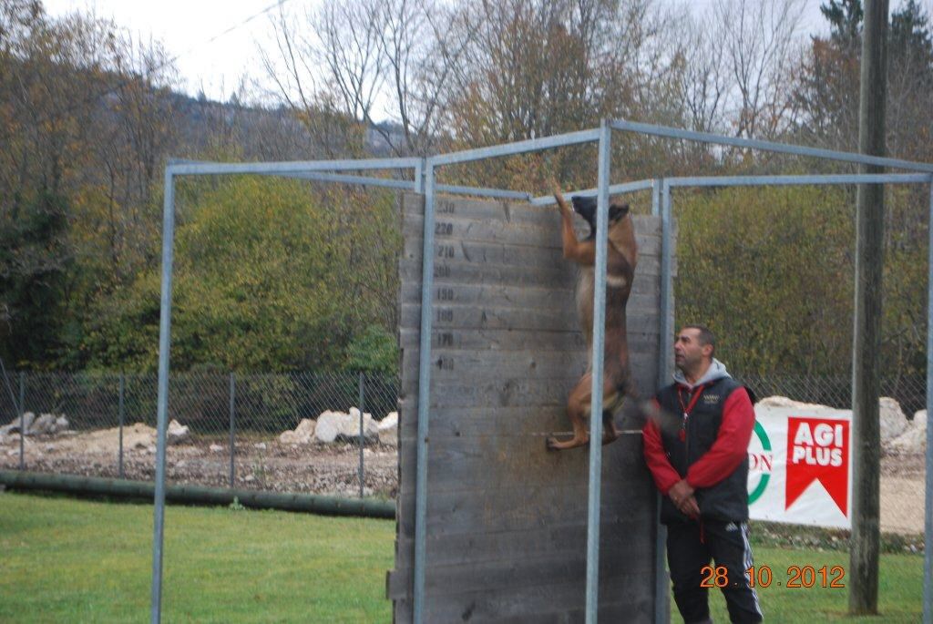 2012-valdebienne-eragon-palissade.jpg