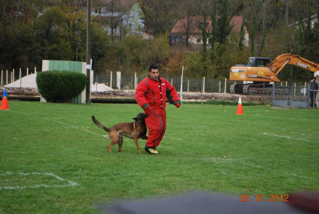2012-valdebienne-eragon-recherche.jpg