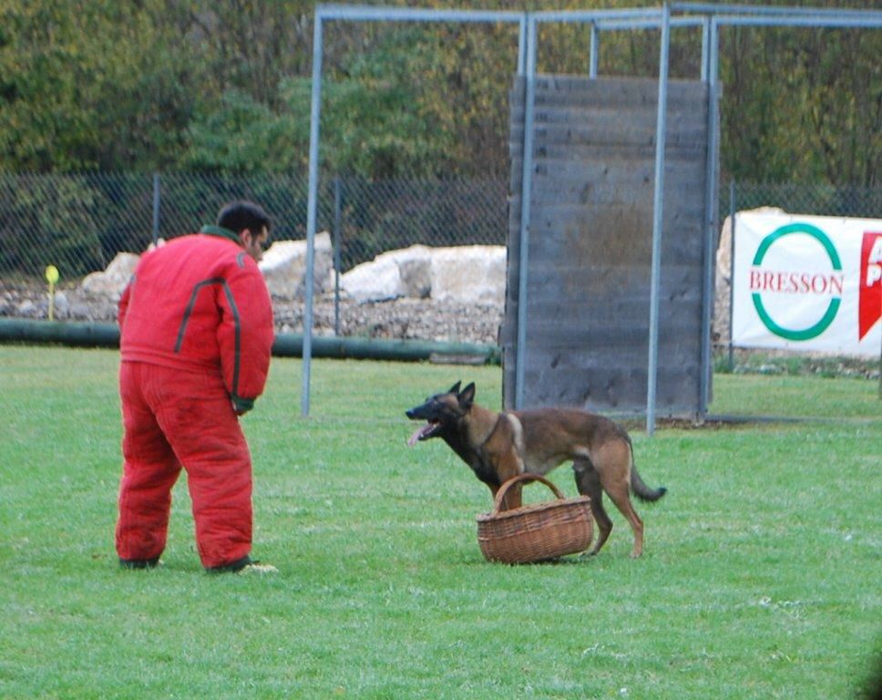 2012-valdebienne-eragon-valise.jpg
