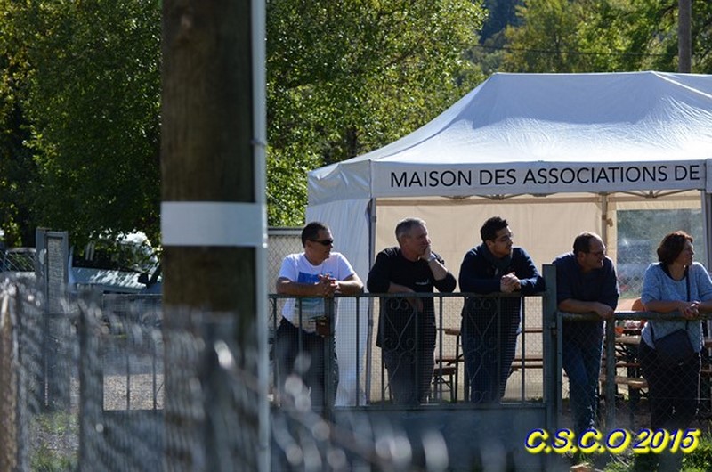 2015-molinge-spectateur.jpg