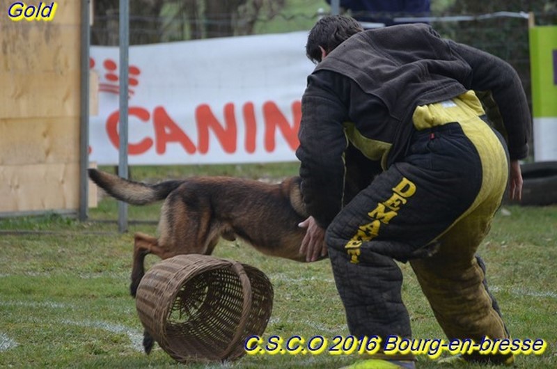 2016-Gold-bourg-val10.jpg