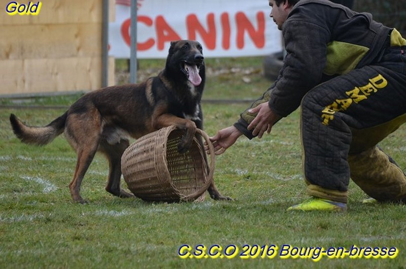 2016-Gold-bourg-val9.jpg