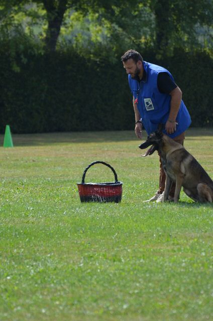 DSC_0170.jpg