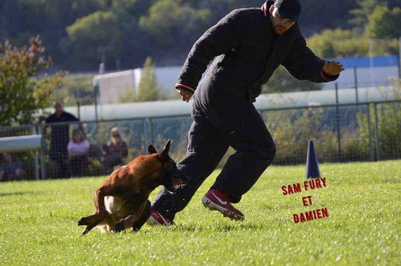 Sam-fury-1-rech.jpg