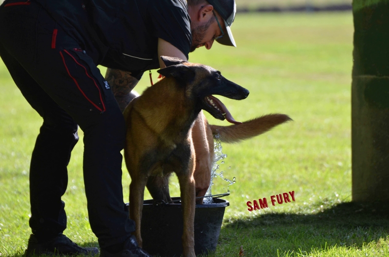 Sam-fury-2.jpg