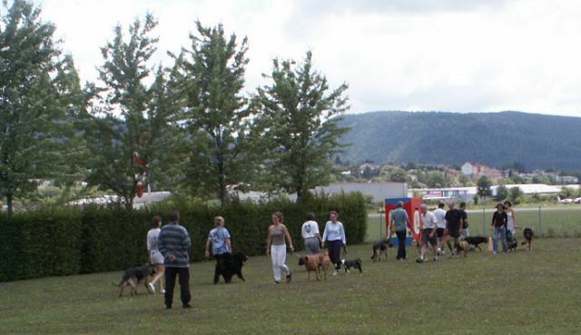2003-societaire.jpg