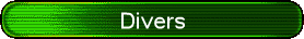 Divers